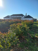 Продажа фермерского хозяйства в Раубичах