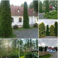 Продажа уютного кафе в живописном месте недалеко от Могилева