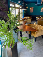 Продажа действующего ресторан-бара BBJ Grill Bar